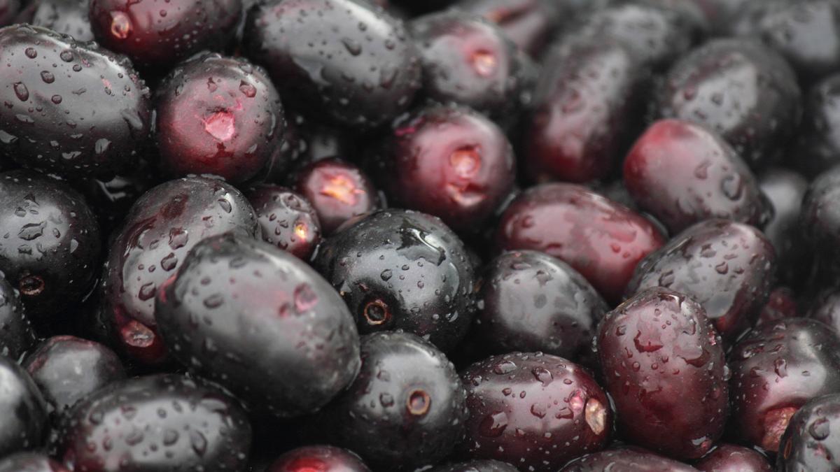 Bright and purple in jamun season