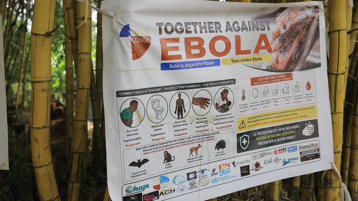 Experts warn of wider spread as Ebola outbreak reaches plateau